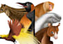 draw cute and  artistic animal  illustration